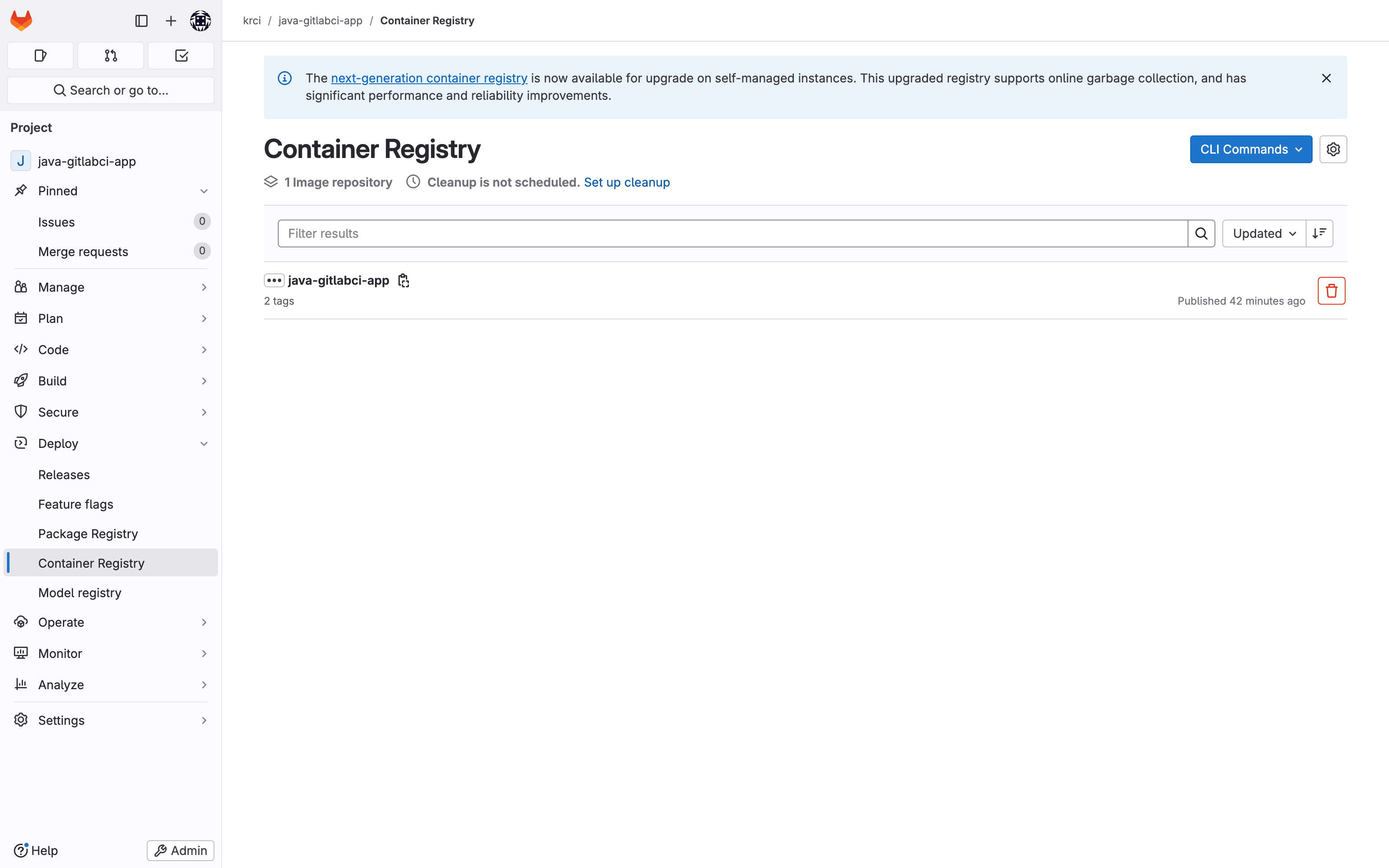 The image published to GitLab's Container Registry by the build pipeline GitLab Container Registry for java-gitlabci-app: image pushed by the buildkit-build job of the build pipeline
