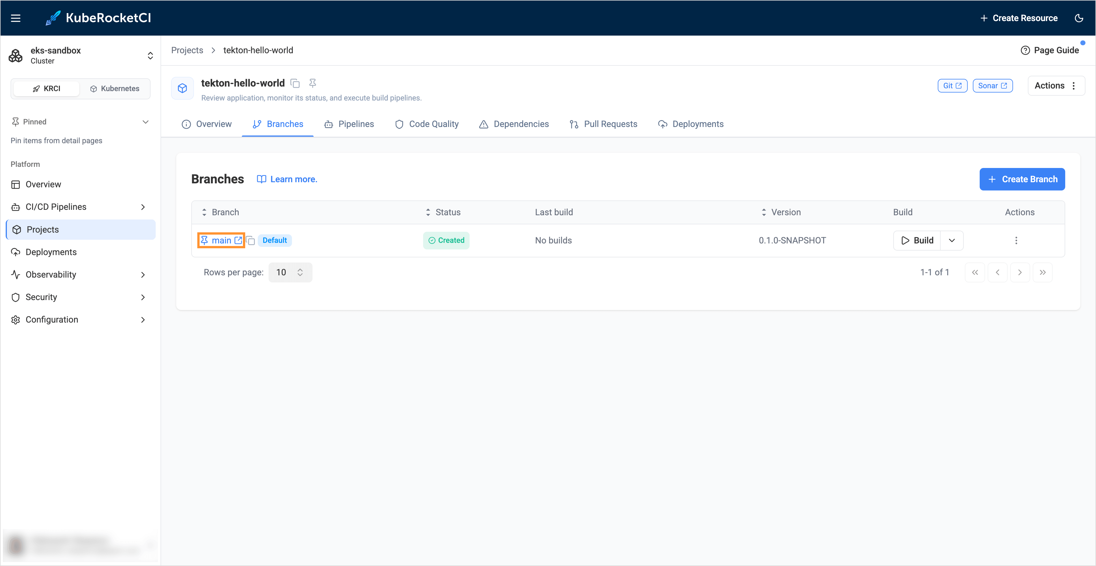 Project's branch tab